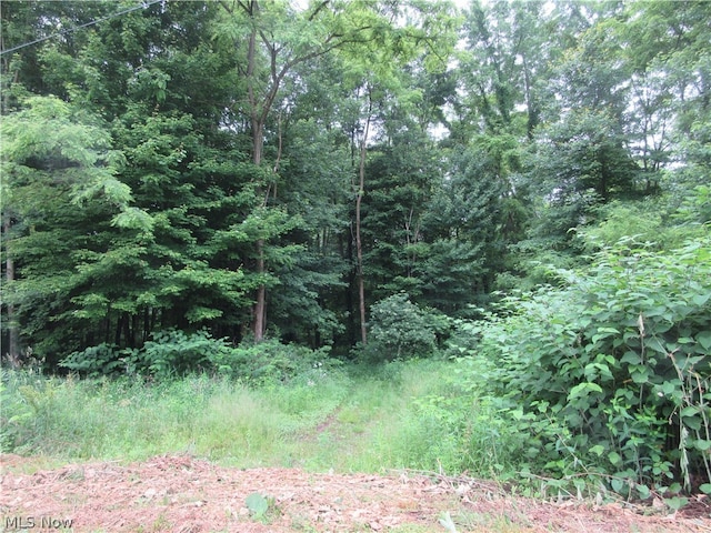 Phelps Rd, Linesville PA, 16424 land for sale