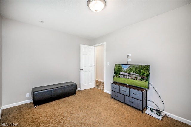 living area featuring carpet floors