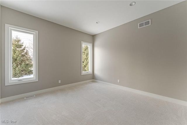 empty room featuring carpet flooring and a wealth of natural light