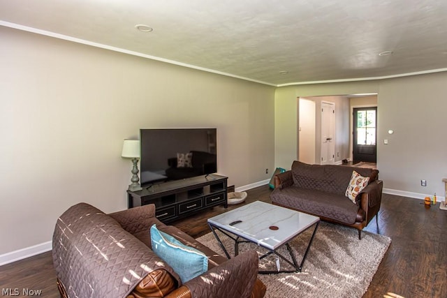 living room featuring crown molding and dark wood-type flooring