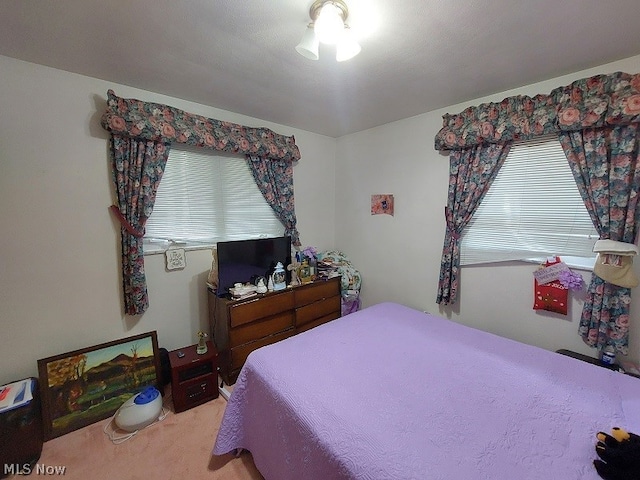 bedroom with carpet floors