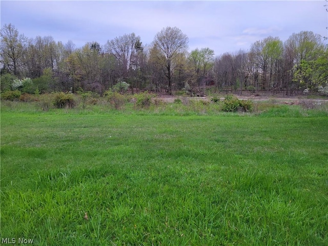 VL Brush Rd, Richmond Heights OH, 44143 land for sale