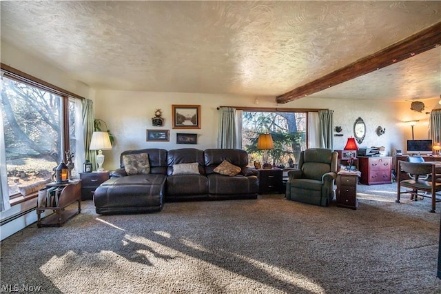 carpeted living room featuring beamed ceiling, a healthy amount of sunlight, and a textured ceiling