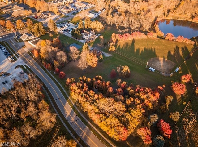 bird's eye view featuring a water view