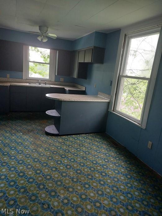 kitchen with ceiling fan and sink