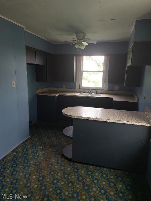 kitchen with sink and ceiling fan