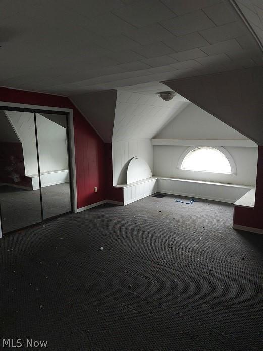 additional living space with vaulted ceiling and carpet floors