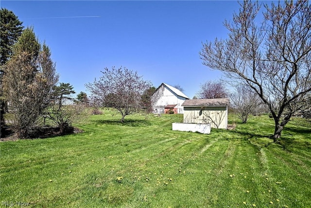 view of yard featuring a storage shed