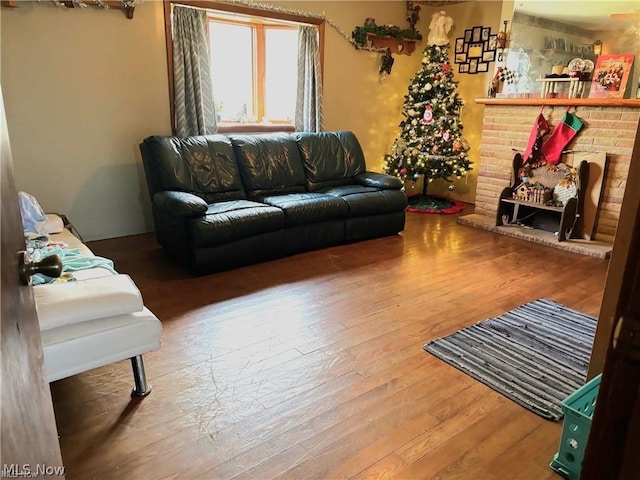 living room featuring a fireplace and wood-type flooring