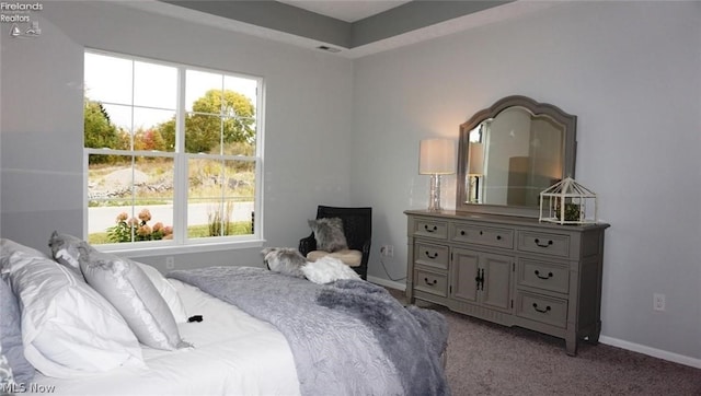 carpeted bedroom with multiple windows