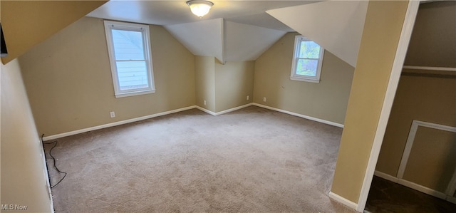 additional living space featuring carpet floors and lofted ceiling