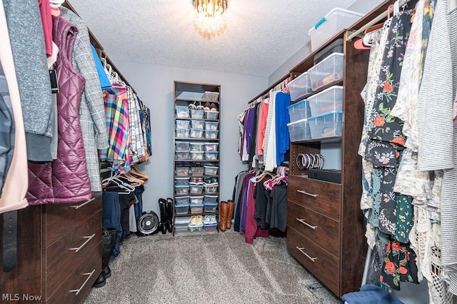 walk in closet featuring carpet