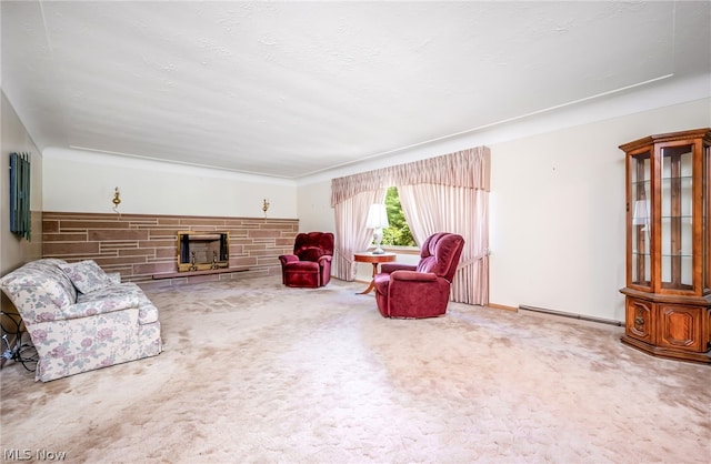 carpeted living room with a wood stove and baseboard heating