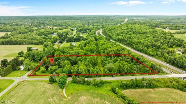 aerial view featuring a wooded view