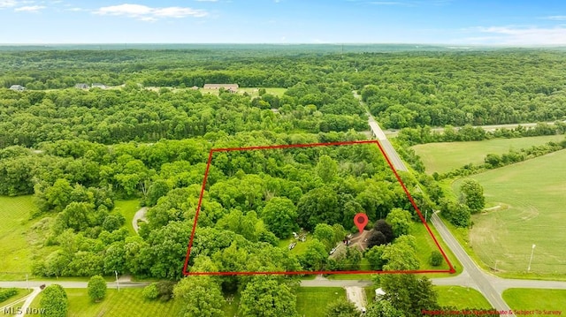 birds eye view of property featuring a forest view