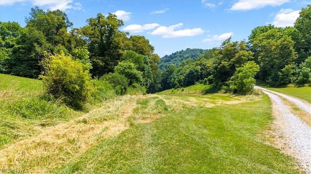 Henry Camp Rd, Saint Marys, WV 26170