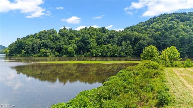 Henry Camp Rd, Saint Marys, WV 26170