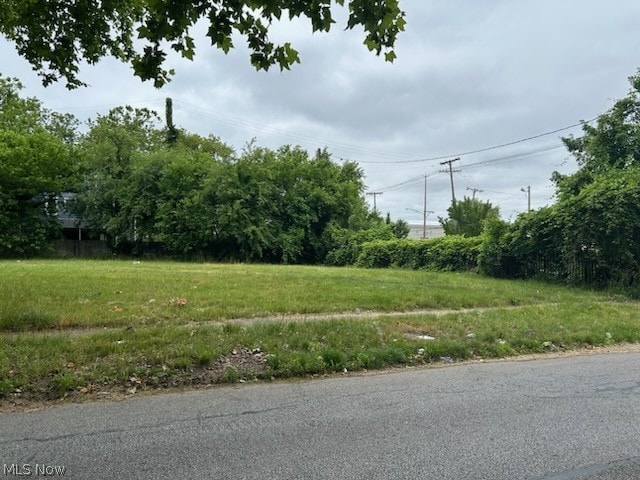 10121 Somerset Ave, Cleveland OH, 44108 land for sale