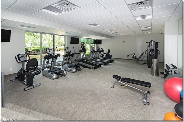 workout area with a paneled ceiling, carpet flooring, and floor to ceiling windows