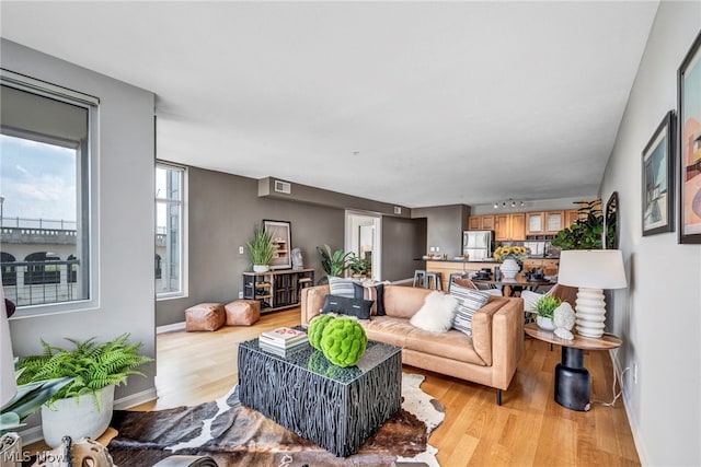 living room featuring light wood-type flooring