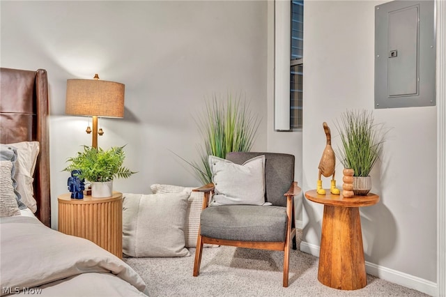 living area with carpet flooring and electric panel