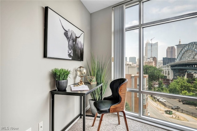 interior space with carpet flooring and floor to ceiling windows