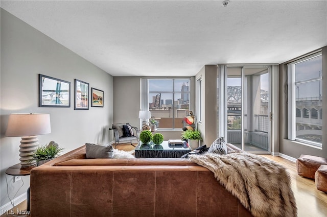 living room with hardwood / wood-style floors and a textured ceiling