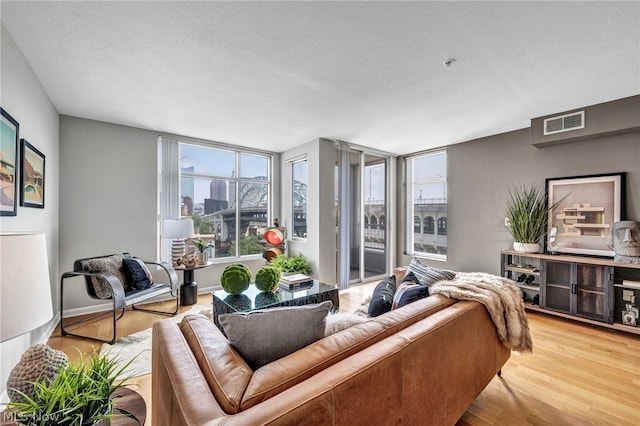 living room with wood-type flooring and a textured ceiling