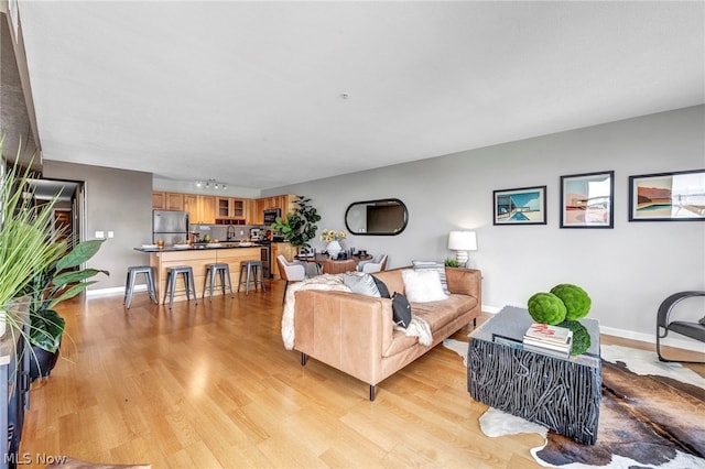 living room with light wood-type flooring