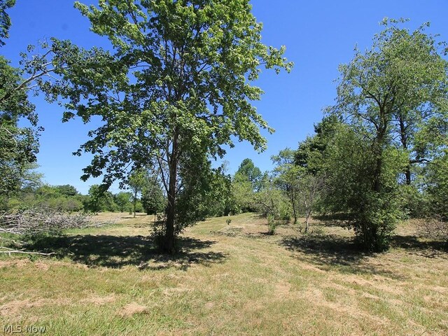 V/L Page Rd, Streetsboro, OH 44241