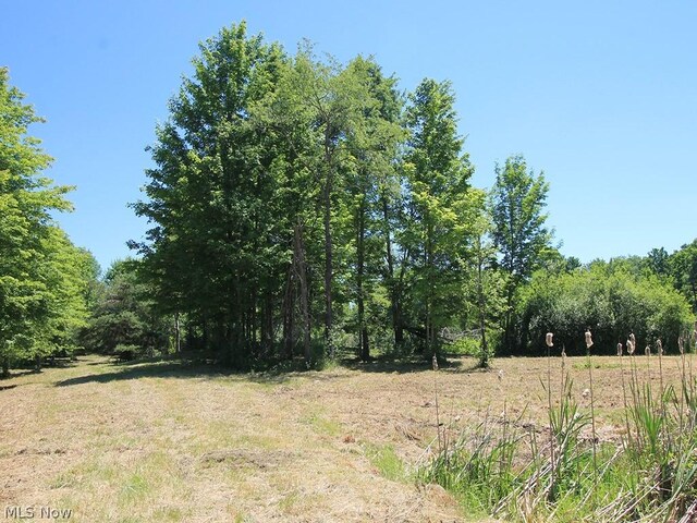 V/L Page Rd, Streetsboro, OH 44241