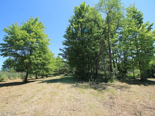 V/L Page Rd, Streetsboro, OH 44241