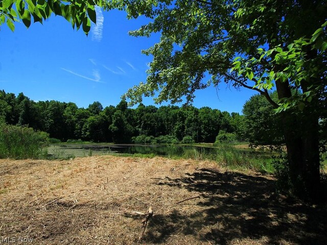 V/L Page Rd, Streetsboro, OH 44241