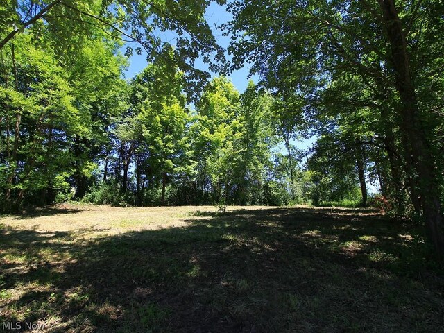 V/L Page Rd, Streetsboro, OH 44241