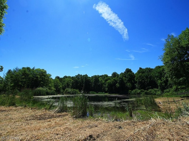V/L Page Rd, Streetsboro, OH 44241