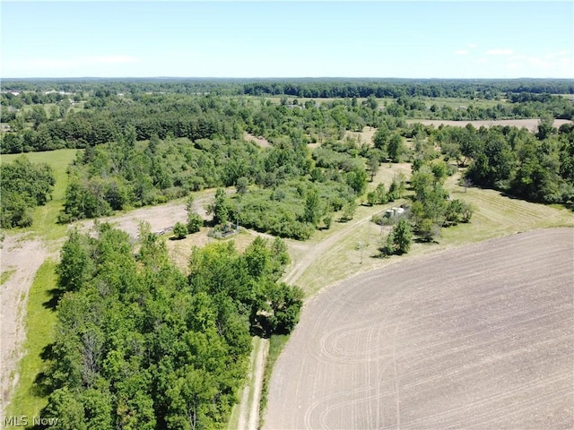 V/L Page Rd, Streetsboro, OH 44241