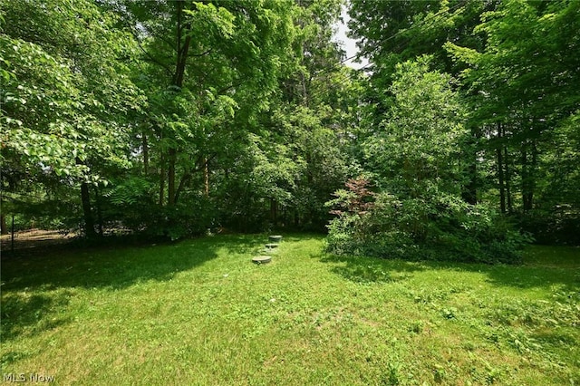 view of yard with a wooded view