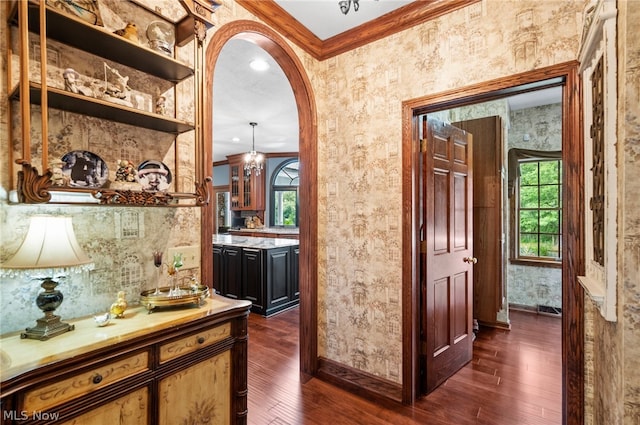 hallway with plenty of natural light, crown molding, and dark wood-type flooring