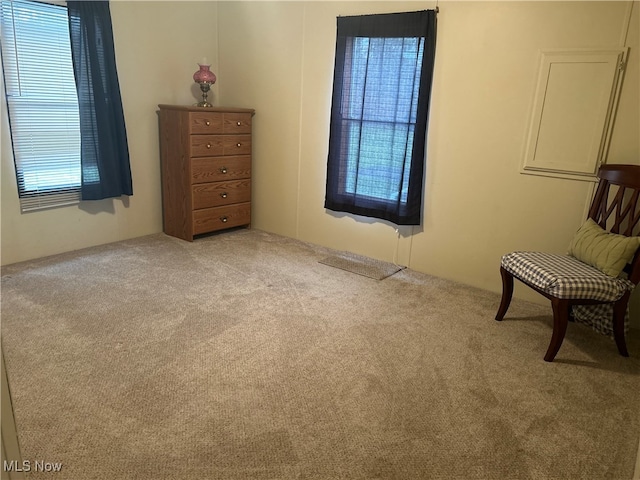 unfurnished room with light carpet