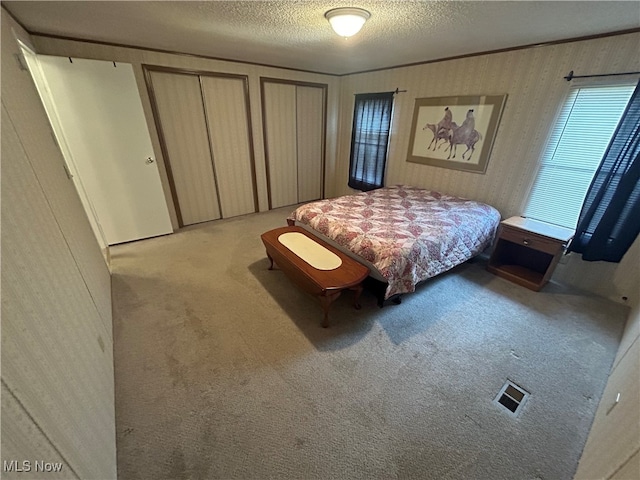 carpeted bedroom featuring a textured ceiling and multiple closets