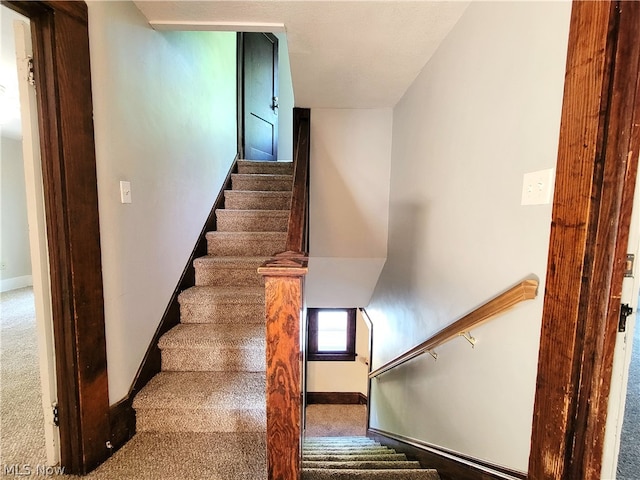 stairway featuring carpet