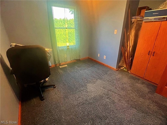 view of carpeted home office