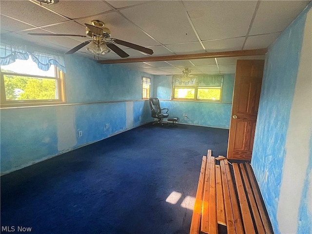 basement with carpet flooring, a drop ceiling, and plenty of natural light