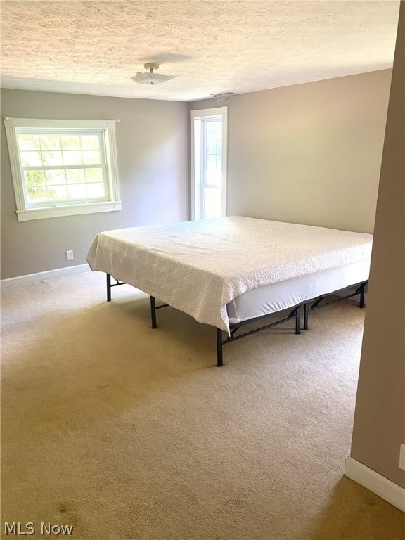 bedroom featuring multiple windows, ceiling fan, carpet, and billiards