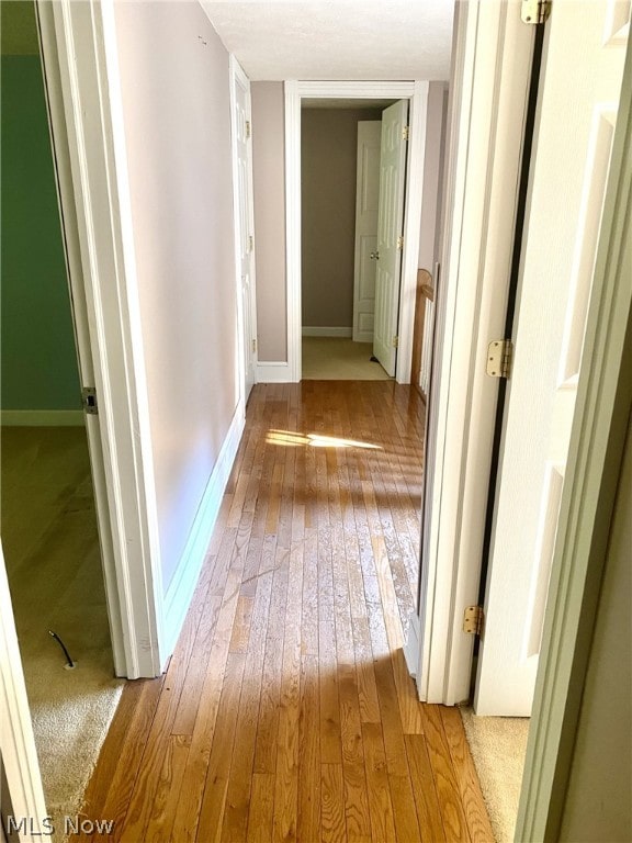 hallway featuring light hardwood / wood-style flooring