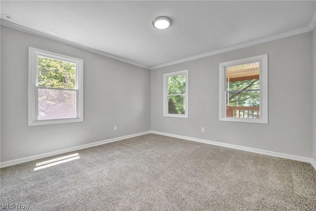 spare room featuring ornamental molding, carpet floors, and a wealth of natural light