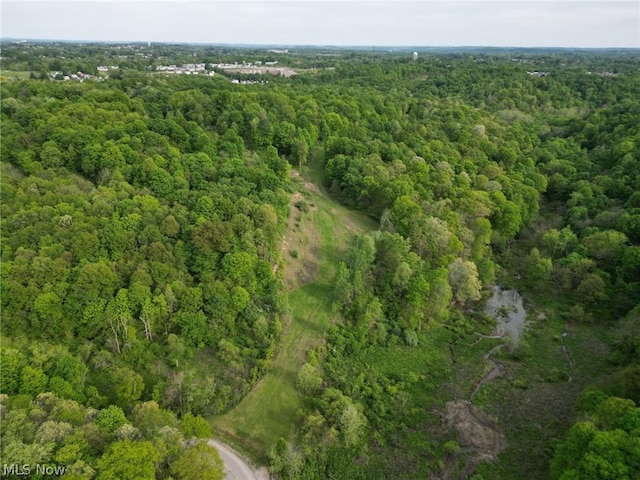 0 Kragel Rd, Wintersville, OH 43953 - photo 3