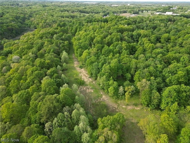0 Kragel Rd, Wintersville, OH 43953 - photo 5