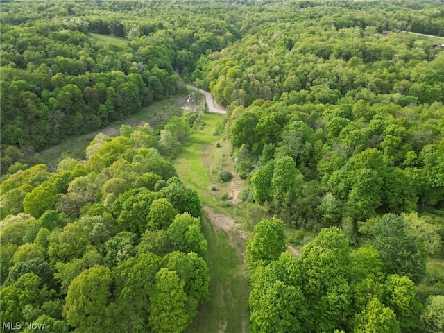 0 Kragel Rd, Wintersville, OH 43953 - photo 6