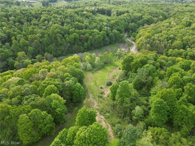 0 Kragel Rd, Wintersville, OH 43953 - photo 4
